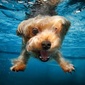 User picture for Joel Gomer
