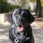User picture for Jay Turner