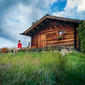 User picture for Nicholas Vaiarini