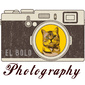 User picture for cheehan ng