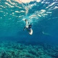 User picture for Emil Santos