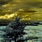 User picture for Barry Rushton