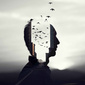 User picture for Prafull Arora