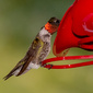 User picture for Michael Southerland