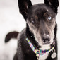 User picture for Sara Benedet