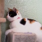 User picture for Gwenn Ng