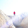 User picture for Tom Forbes