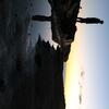 User picture for Alistair Colvin