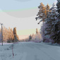 User picture for Anna Ruo