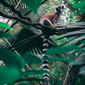 User picture for Robin Nussbaumer