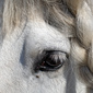User picture for Wojtek Dworaczek