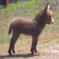 User picture for John Van Cleef