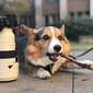 User picture for L D