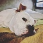 User picture for David Hutson