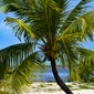 User picture for DERRICK PETERS