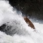 User picture for Peaceful Pics