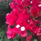 User picture for Veee Kalli
