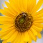 User picture for Christine Noel