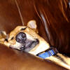 User picture for Marc McAllister