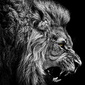 User picture for Arsen Gulesserian