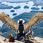 User picture for Drone Sapien