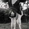 User picture for Ken Savage