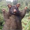 User picture for Brett BARCLAY