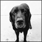 User picture for Leonard Green