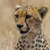 User picture for Patrick Dumas