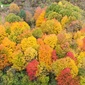 User picture for Ronald Hewlette