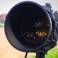 User picture for Bob Rainville