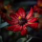 User picture for Seronda Wayne