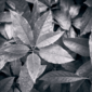 User picture for j cernius