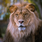 User picture for Stephan Poulin