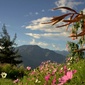 User picture for Jaime Torro