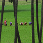 User picture for Jaikumar Kesav