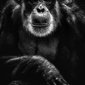 User picture for Rémy PONCELET