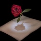 User picture for Joseph Martinez