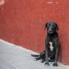 User picture for Tyson Bolduc