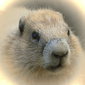 User picture for Paul Smith