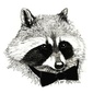 User picture for Daniel Blackfield