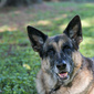 User picture for Andrew Silcox