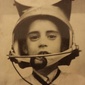 User picture for Howard Gotfryd