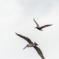User picture for Alfonso Sanche