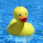 User picture for Jack Lamac