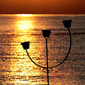 User picture for Vicente Concha