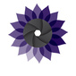 User picture for Sandra Tafoya