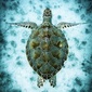 User picture for James Doughty