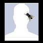 User picture for DAVID STEIN