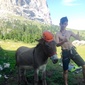 User picture for Joe Irving